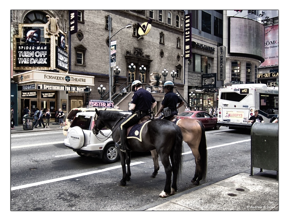 ... police horses ...