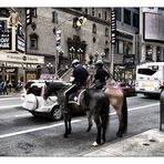 ... police horses ...