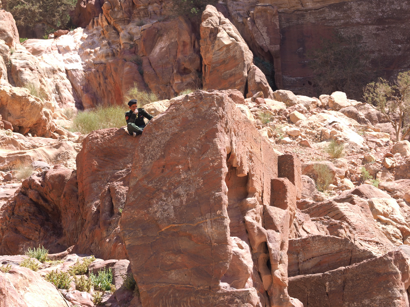 Police in Petra