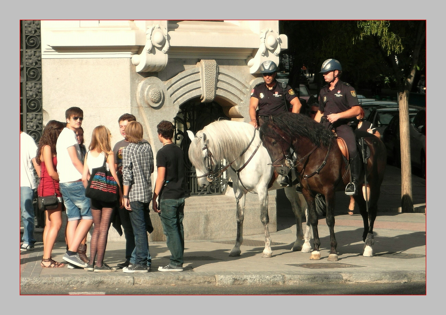 - Policia Montada -