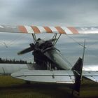 Polikarpov