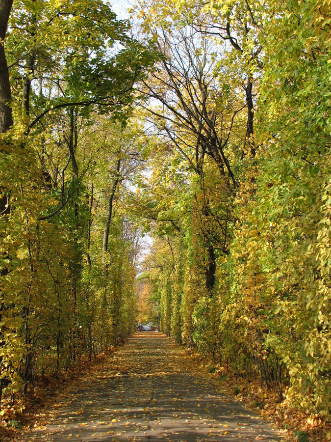 polish autumn