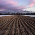 Polish fields