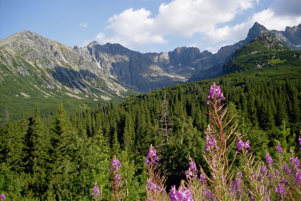 Polish Tatra Mountains I