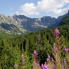 Polish Tatra Mountains I