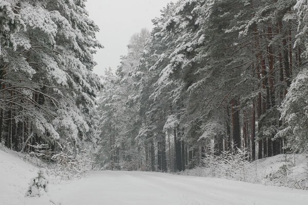 polish winter