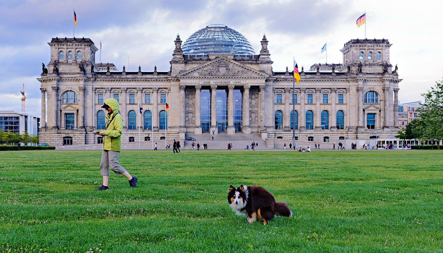 Politik mit Hund und Substanz ...