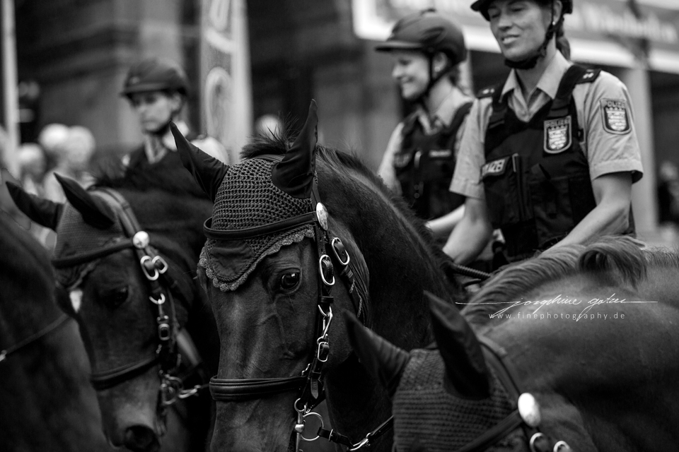 Polizei-Reiterstaffel Frankfurt