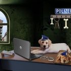 Polizeihunde im Innendienst