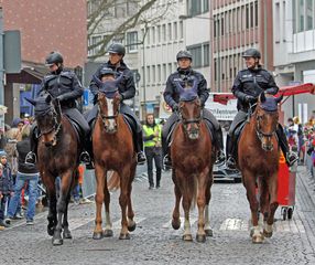 Polizeireiterstaffel Hessen