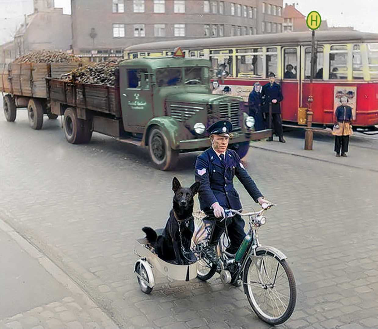 Polizeistreife mit Hund 1955