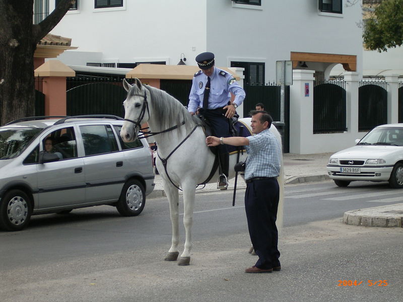 Polizist