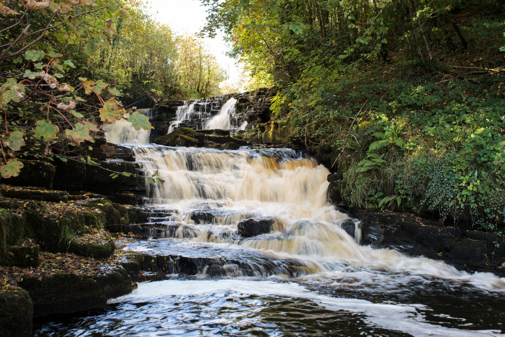 Poll An Eas Waterfall, Co. Leitrim