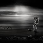 Pollard_Willow_Bay_bw