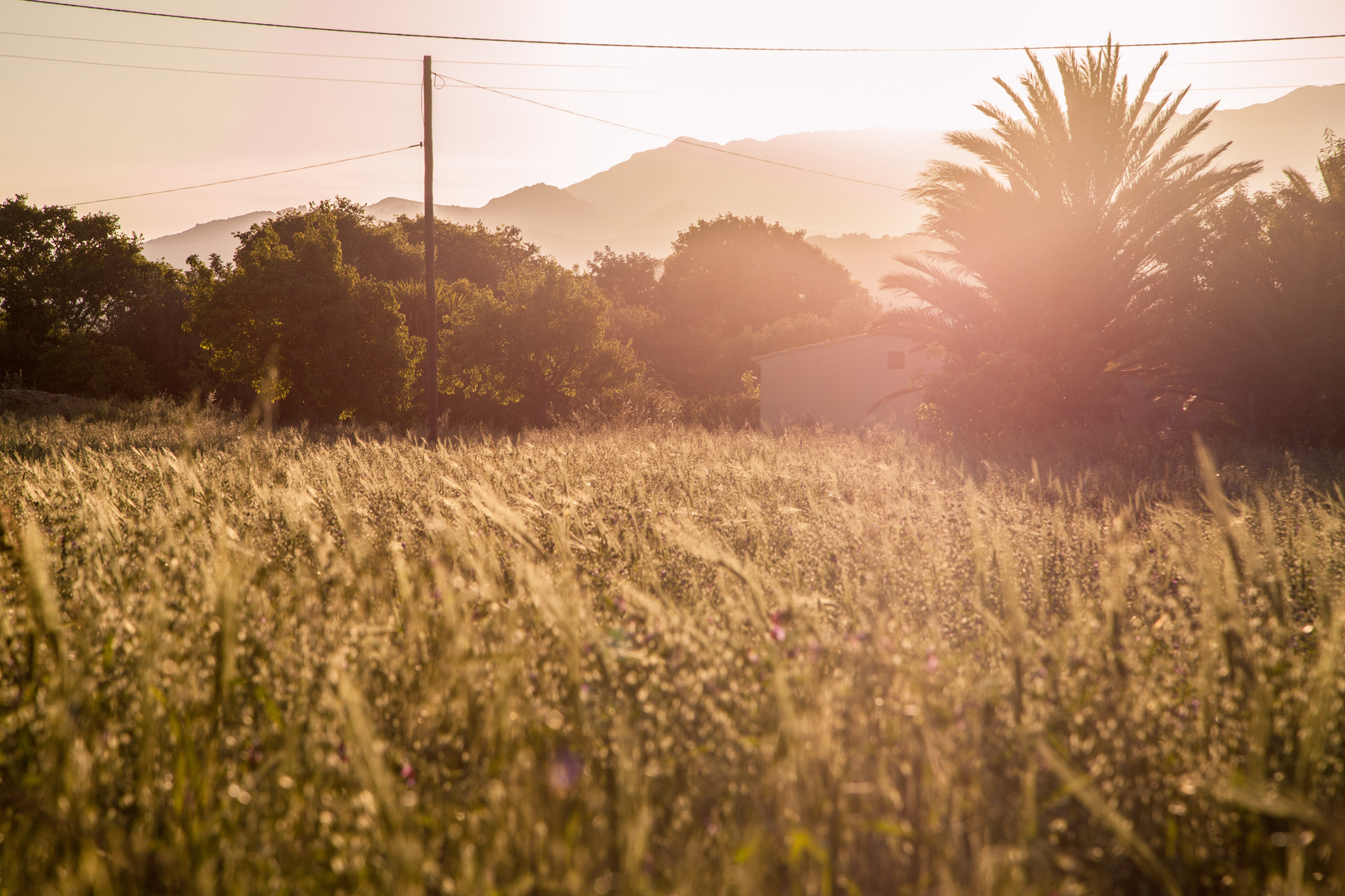 Pollensa Sundown