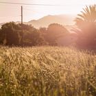 Pollensa Sundown