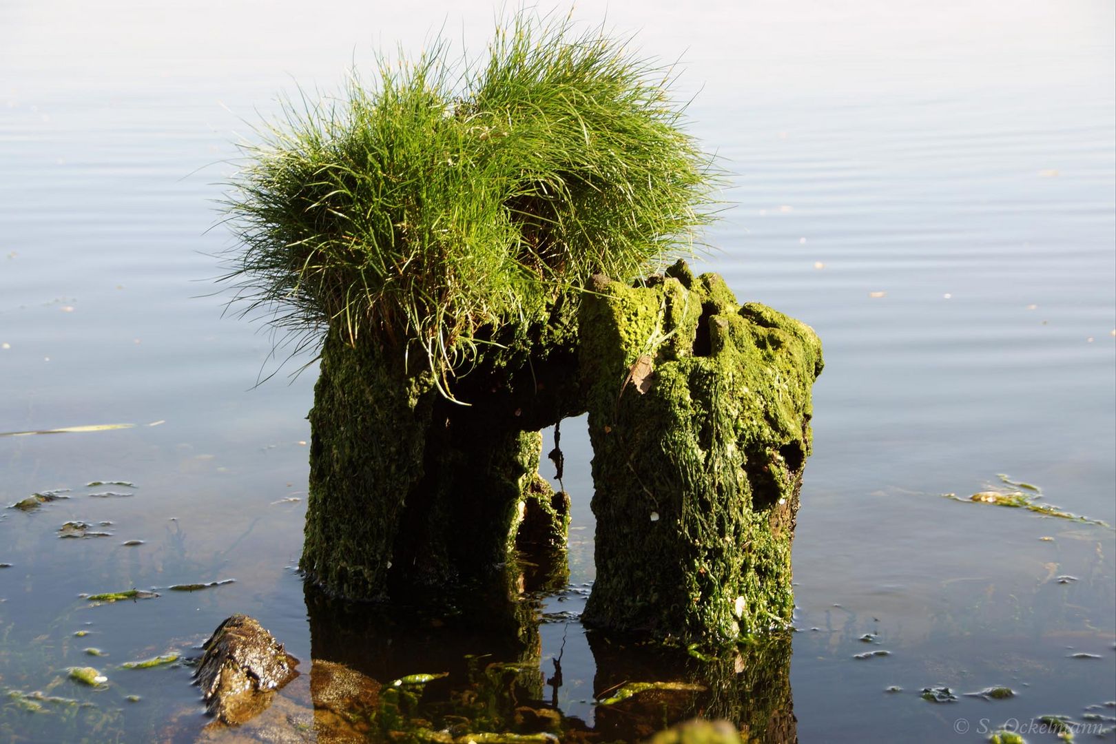 Poller im Hafen von Boltenhagen