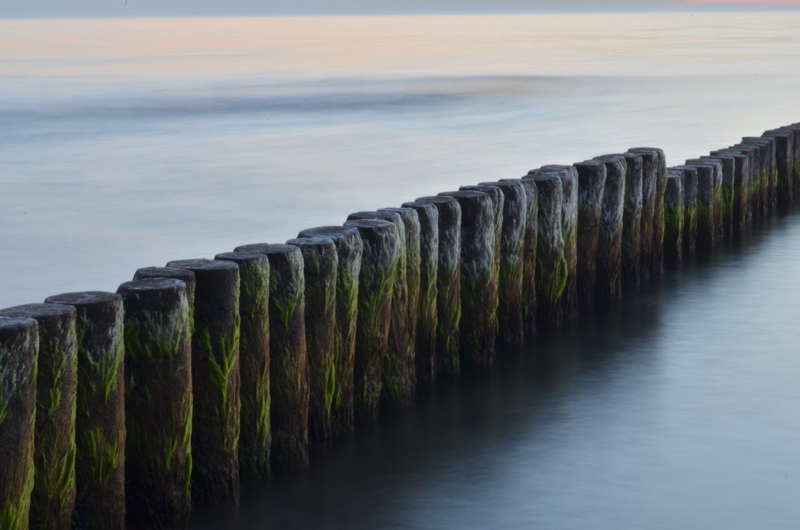 Poller in der blauen Stunde