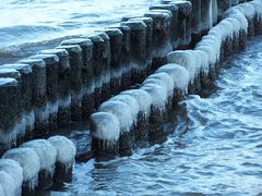 Poller in der Ostsee (Usedom) Winter 2009