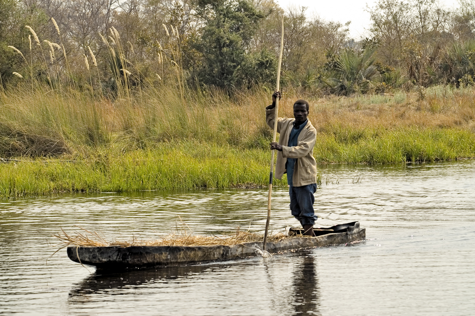 Poller mit Mokoro im Okawango-Delta