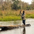 Poller mit Mokoro im Okawango-Delta