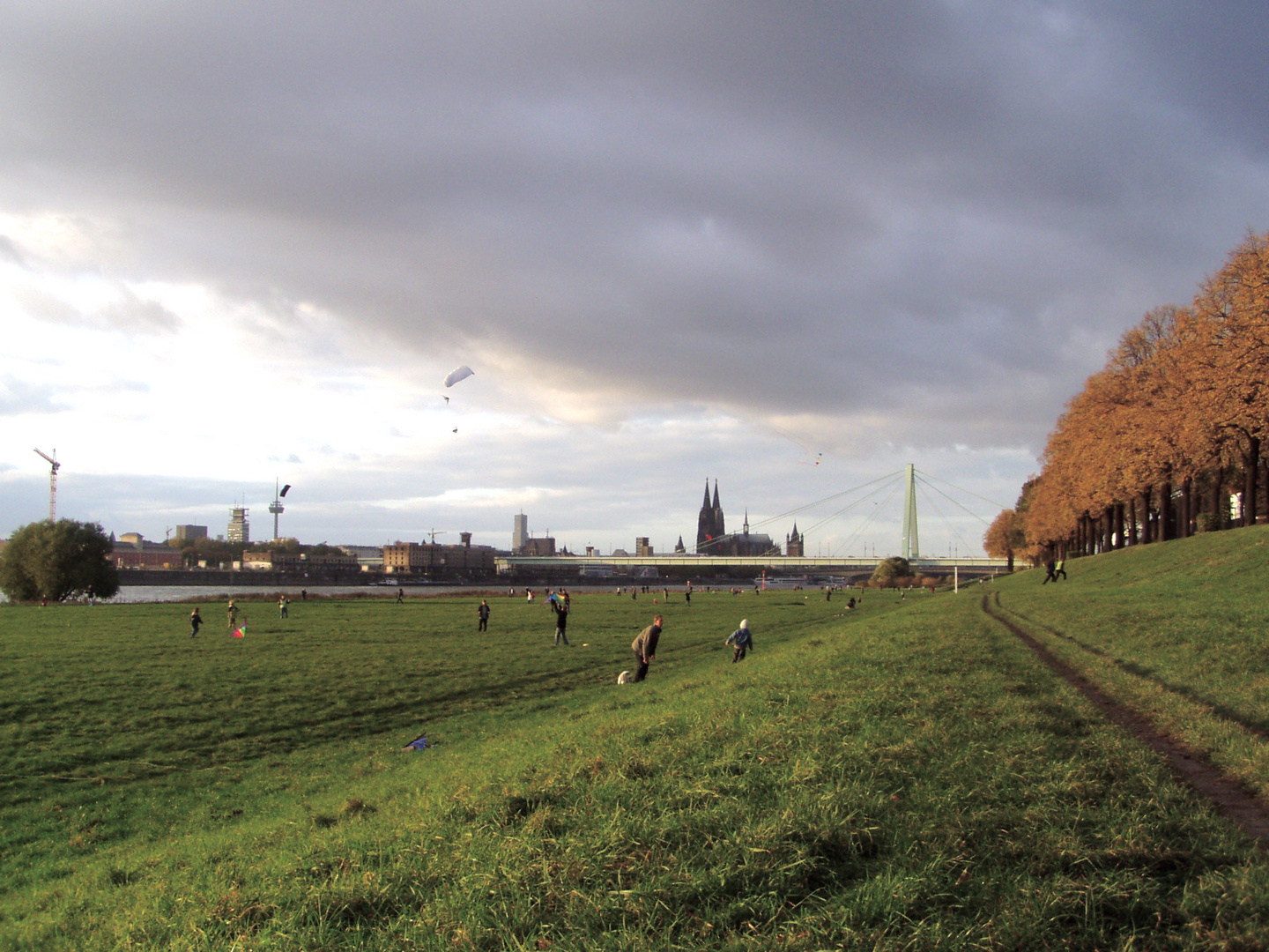 Pollerwiesen in Köln