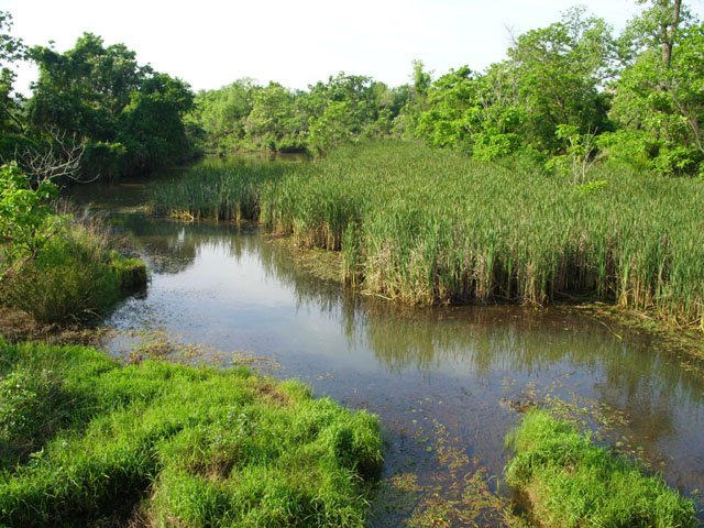 Pollution Filters