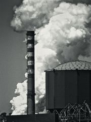 POLLUTION, IL TORMENTO DI PIOMBINO.......