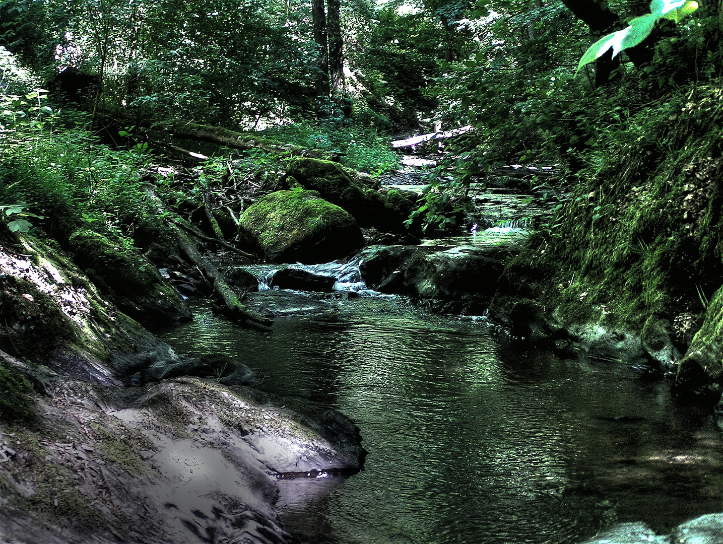 Pollution in Green