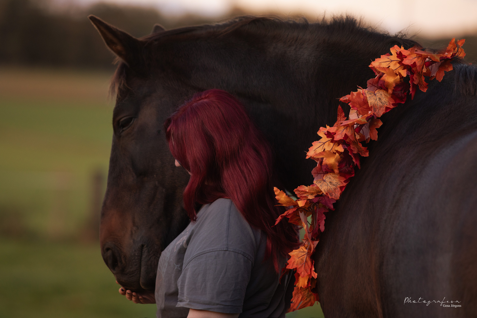 Polly im Herbst