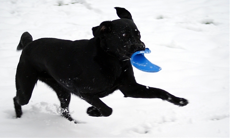 Polly Im Schnee 3