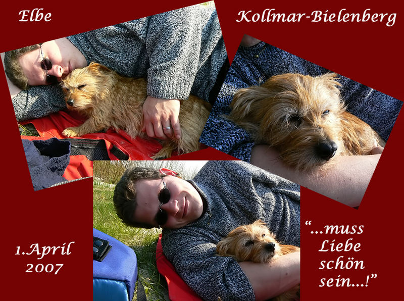 Polly und ihre große Liebe....