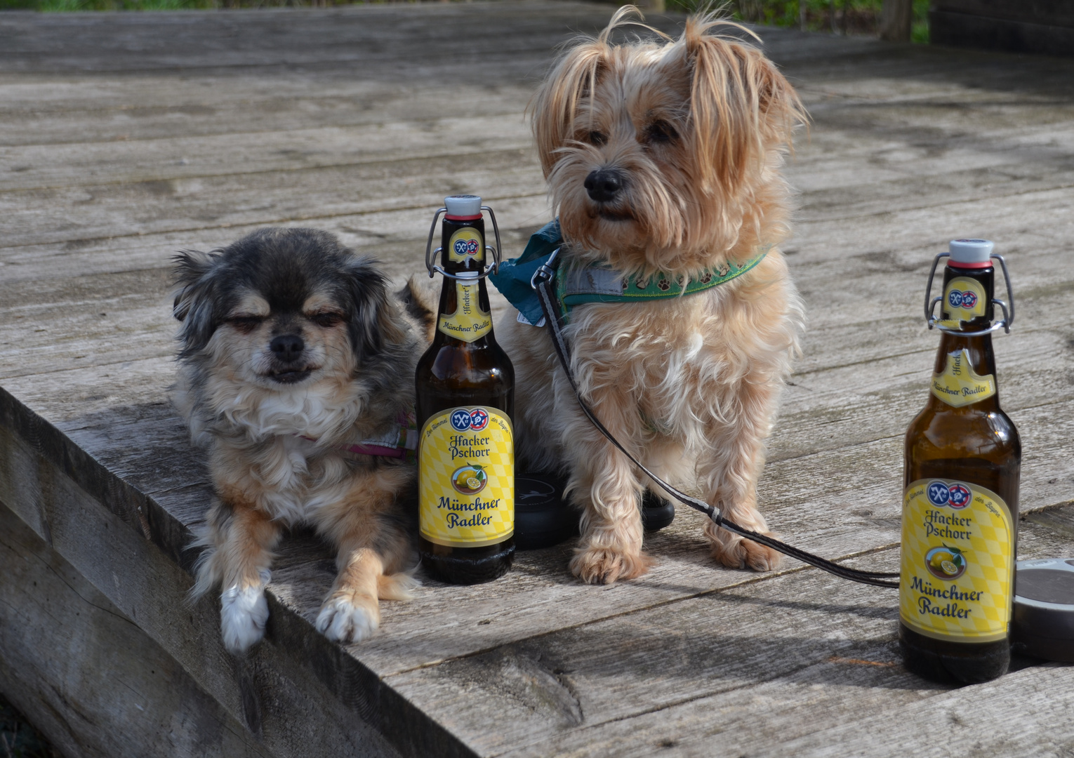 Polly und Michl im  bayrischen Biergarten.....