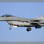 Polnische F 16