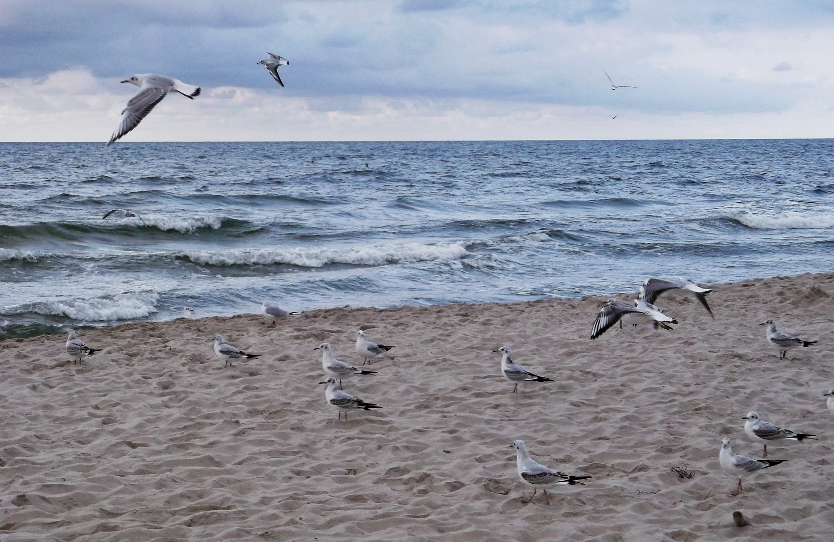 Polnische Ostsee