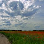 Polnischen Landschaft