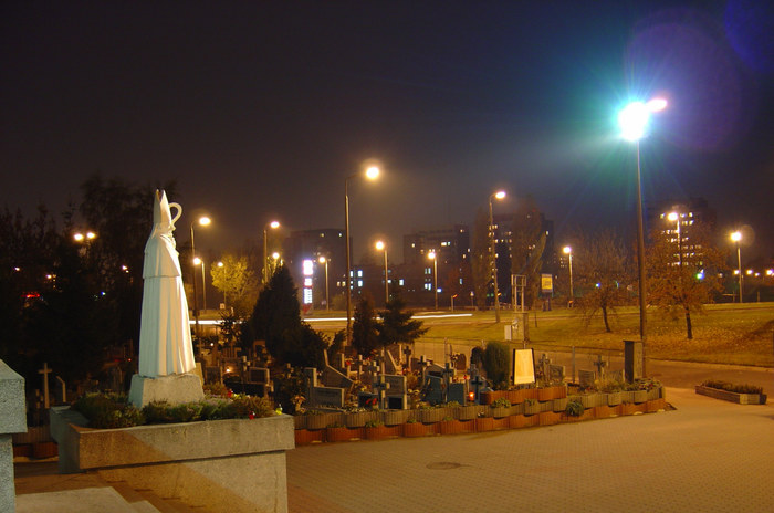 Polnischer Friedhof in der City