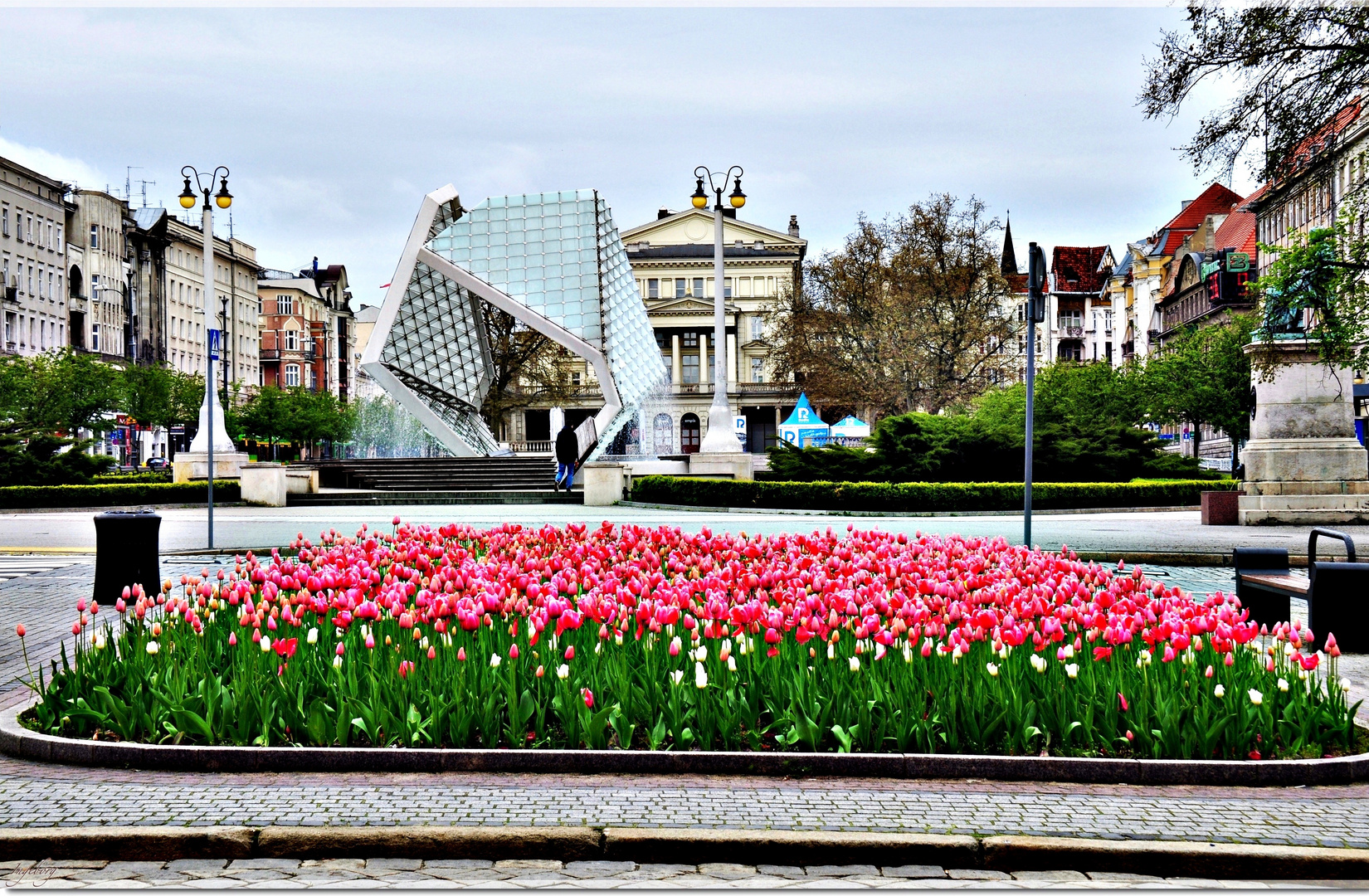 # polnischer Frühling # Foto &amp; Bild | outdoor, frühling ...