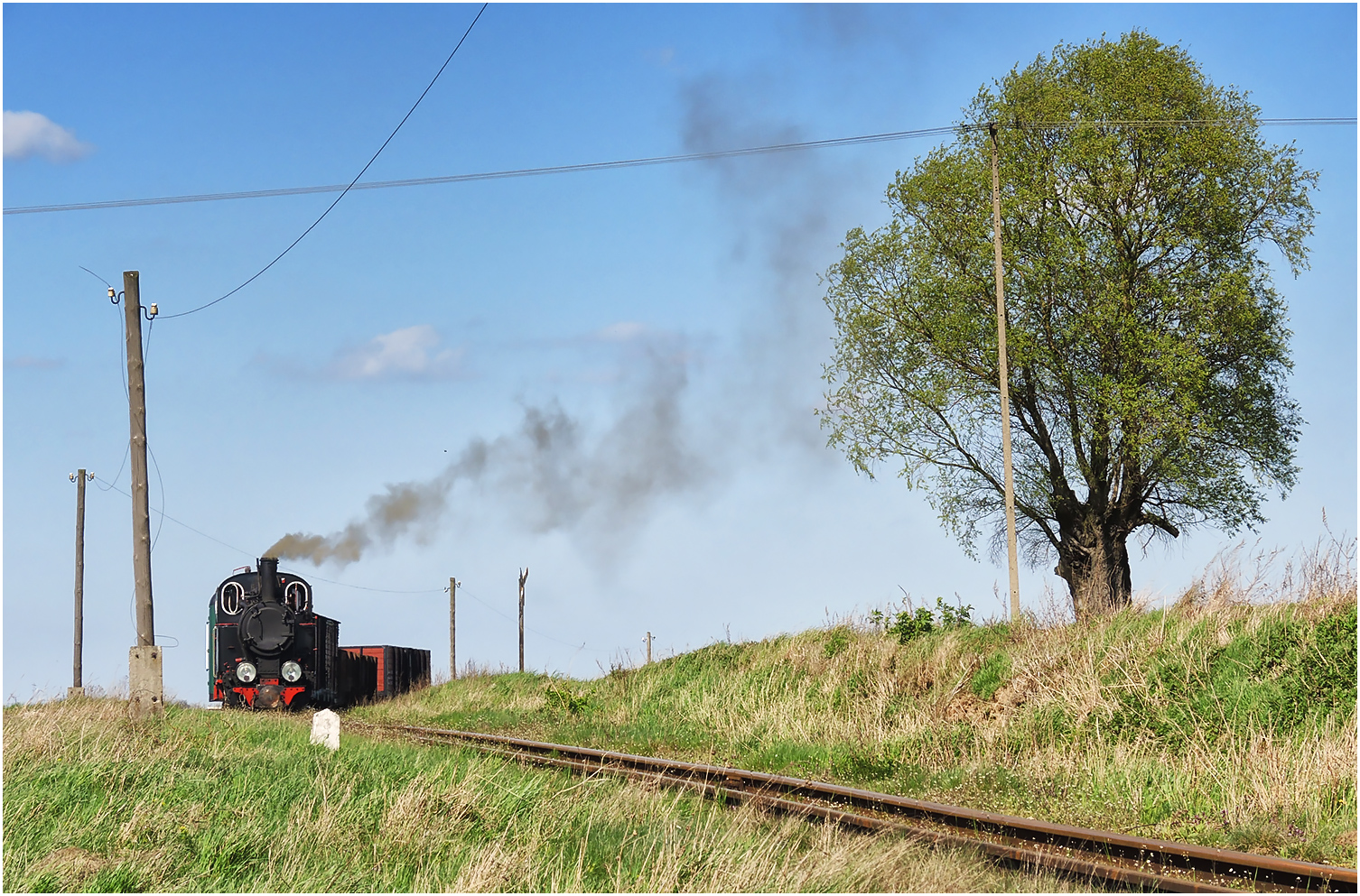 Polnischer Frühling