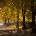Polnischer goldener Herbst