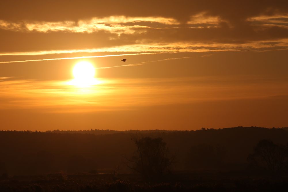 Polnischer Sonnenaufgang