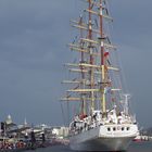 Polnisches Segelschulschiff "Dar Mlodziezy" in Hamburg Hafengeburtstag 2013