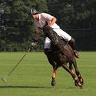 Polo #2