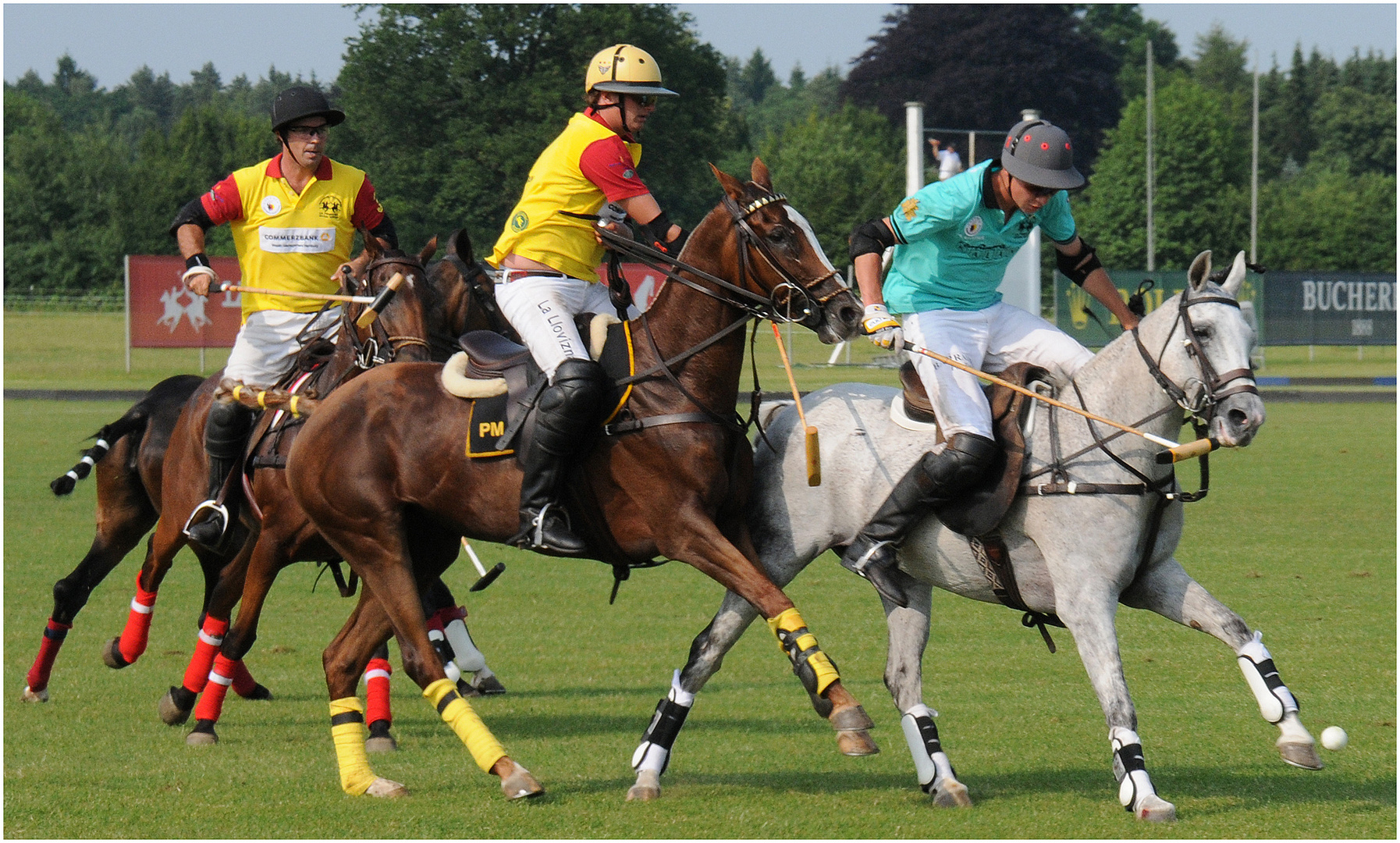 Polo-2015-