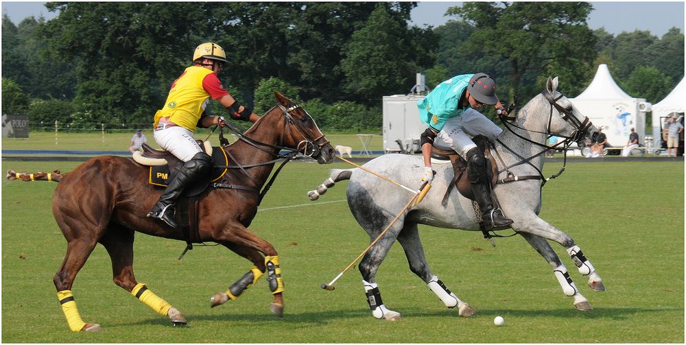 Polo-2015-Aspern