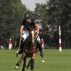 Polo #3