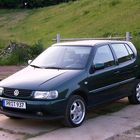 Polo 6N