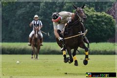 Polo***