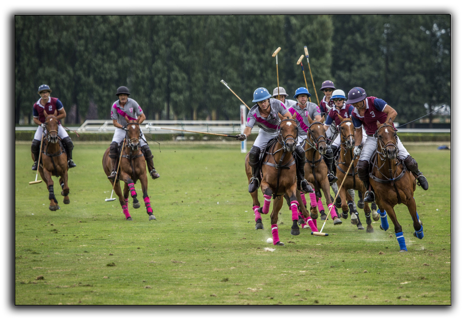 polo a deauville