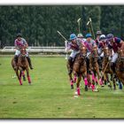 polo a deauville